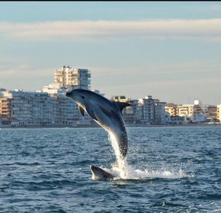 Chalet Adosado En La Playa De El Perellonet Con Piscina, Pista Tenis Valencia Exterior foto